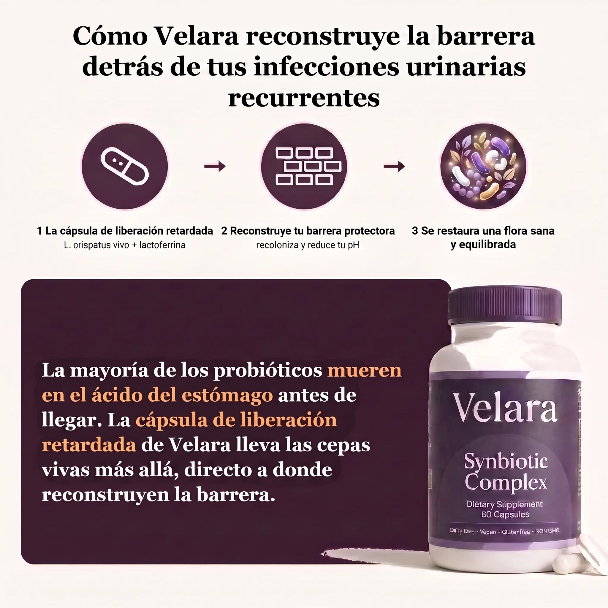 Cómo Velara reconstruye la barrera vaginal con L. crispatus y lactoferrina en cápsula de liberación retardada