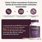 Cómo Velara reconstruye la barrera vaginal con L. crispatus y lactoferrina en cápsula de liberación retardada