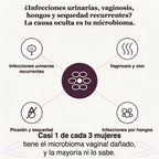 El microbioma vaginal dañado detrás de las infecciones urinarias, la vaginosis, los hongos y la sequedad