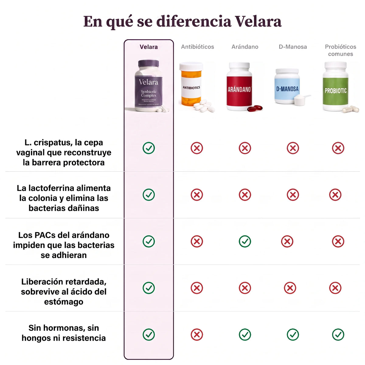 Velara frente a antibióticos, arándano, D-manosa y probióticos comunes para la flora íntima