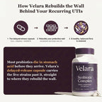Velara Synbiotic Complex | Microbiome & Flora Restore Support
