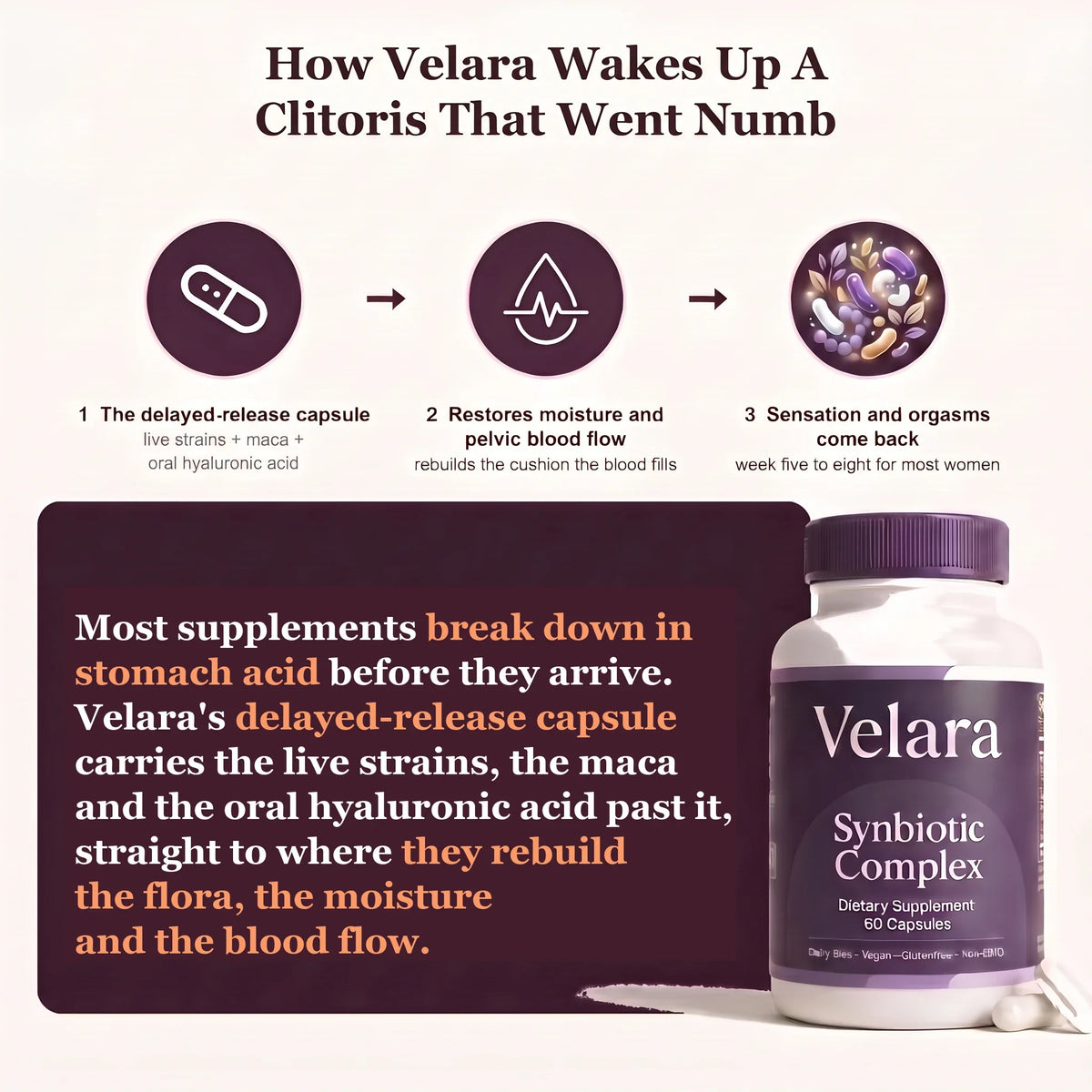 How Velara wakes up a clitoris that went numb: delayed release capsule, moisture and pelvic blood flow, sensation and orgasms